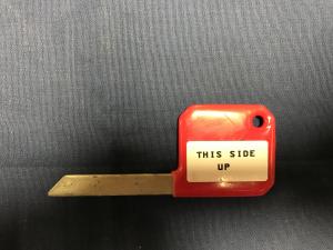 Dynex DSX Interlock key 22001793